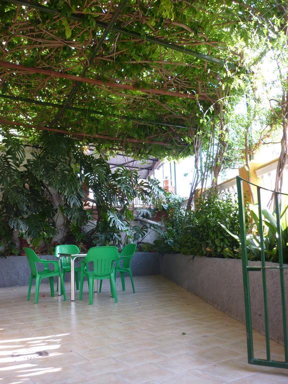 Hotel Las Flores トロクス エクステリア 写真