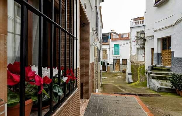Hotel Las Flores トロクス エクステリア 写真